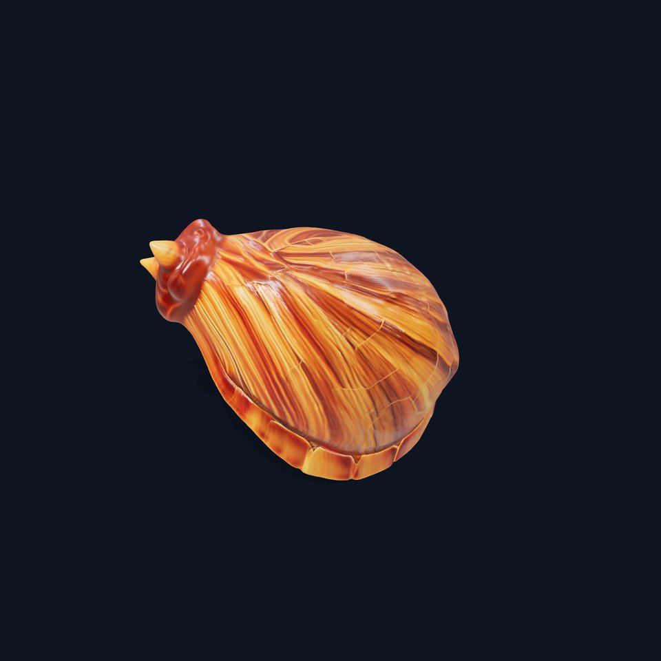 Elegant Seashell model pack